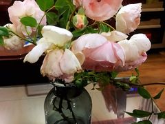 -凤来栖·净庭院·火锅(欧尚店)