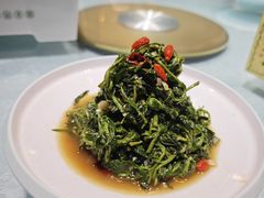 养生枸杞苗-老毛手抓·盐池滩羊非遗手抓(宁夏总店)