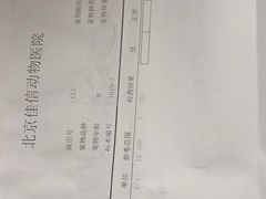 -北京佳信宠物医院