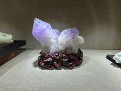 -陕西自然博物馆