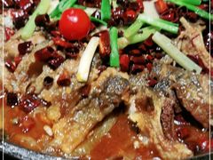-老板恋上鱼(高新万达店)
