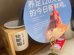 -佬肥猫(国华广场店)