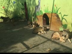 -荆州中山公园动物园