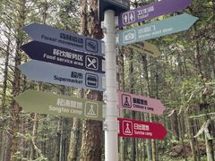 -重庆睡佛山森林公园