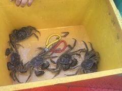 -蟹天蟹地农家菜·阳澄湖大闸蟹(浅水湾店)