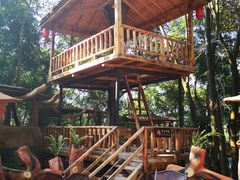 -天门沟九州驿站树上汤泉