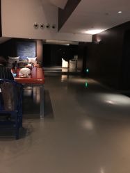 -奈瑞儿美养院·身体调养·美颜
