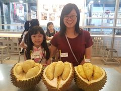 榴莲-都念榴莲·城市榴莲