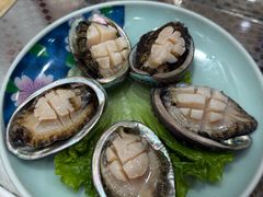 鲜活小鲍鱼-金龙·打边炉(武进路店)