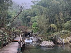 -山沟沟景区