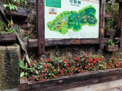 -西双版纳原始森林公园