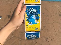 -芜湖新华联大白鲸海洋公园