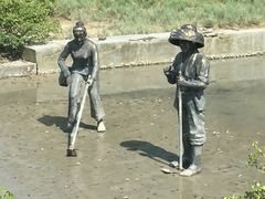 -北海金海湾红树林生态旅游区