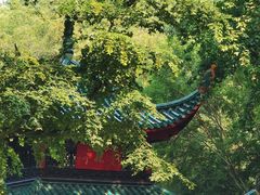 -岳麓山风景名胜区