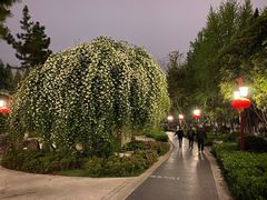 -郑和公园