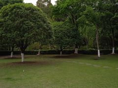 -重庆园博园