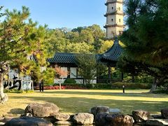 -江心屿景区