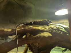 -Zoolung Zoolung动物主题公园(海信广场店)