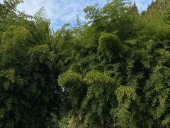 -东坡赤壁风景名胜区