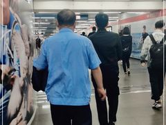 -大望路(地铁站)