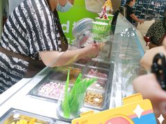 -Salud撒露欧洲冻酸奶(北苑上品店)