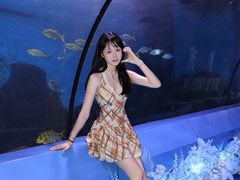 -重庆欢乐海底世界
