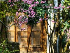 -郭庄景区