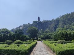 -南沙蒲洲花园