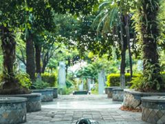 -广州神农草堂中医药博物馆