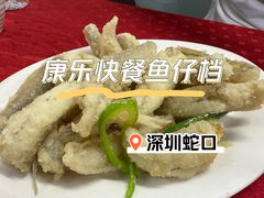 -蛇口康乐快餐鱼仔档(翠苑小区店)