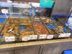 -船歌·鱼水饺青岛菜(闽江二路店)