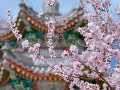 -颐和园