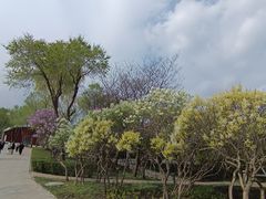 -群力丁香公园