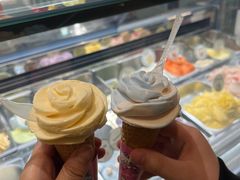 -高汐尔手工鲜冰淇淋(恒隆广场店)