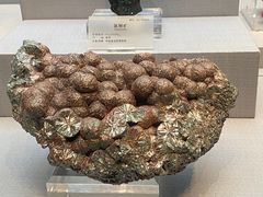 -湖南省地质博物馆