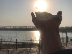 -绿堤公园