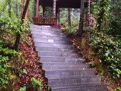 -三门江国家森林公园