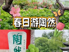 -陶然亭公园