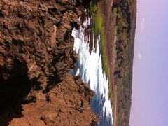 龙坑生态保护区-龙坑生态保护区