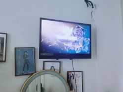 点击看大图 -薇薇安花系SPA