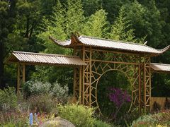 -上海共青森林公园