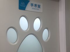 -乐派堂宠物医院·猫友好· 心脏科(东街店)