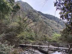 -东天目山风景区