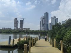 -华侨城湿地公园