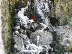-鹿亭中村