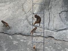 -无锡动物园·太湖欢乐园