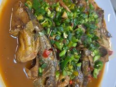 -全乐鱼馆·淳牌有机鱼直营店