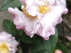 -恩宁刘福记(东华东路店)