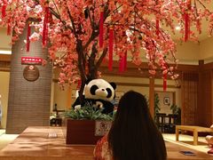 -大江户·温泉洗浴(浑南店)
