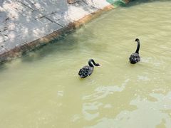 -东湖景区